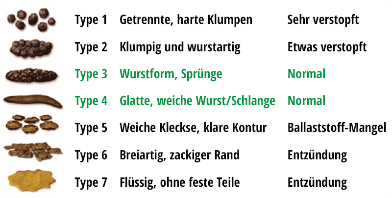  Bristol-Stuhlformen-Skala auf Deutsch