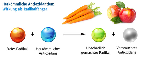 Wirkung von herkömmlichen Antioxidantien als Radikalfänger