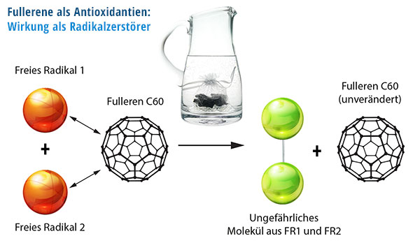 Antioxidative Wirkung von Fullerenen als Radikalzerstörer