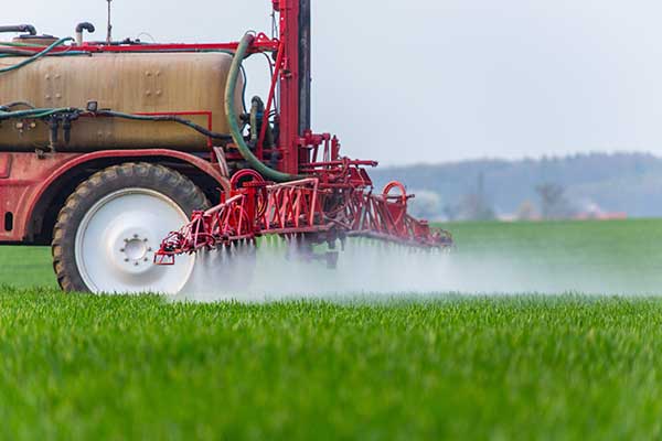 Landwirt bringt Pestizide auf einem Getreidefeld aus