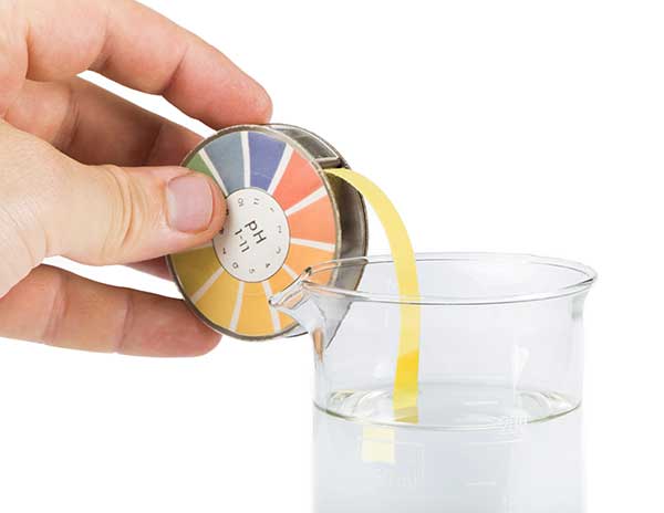 Messung pH-Wert von Edelschungit-Wasser