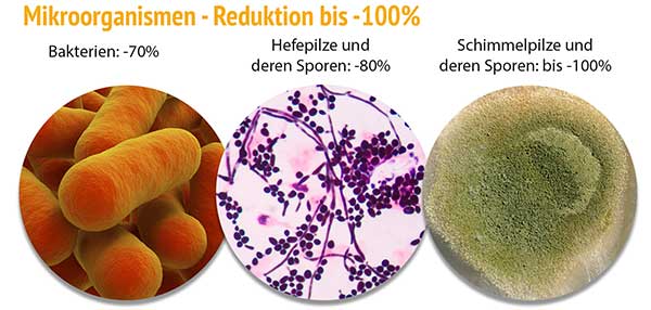 Reinigungswirkung Schungit bei Mikroorganismen