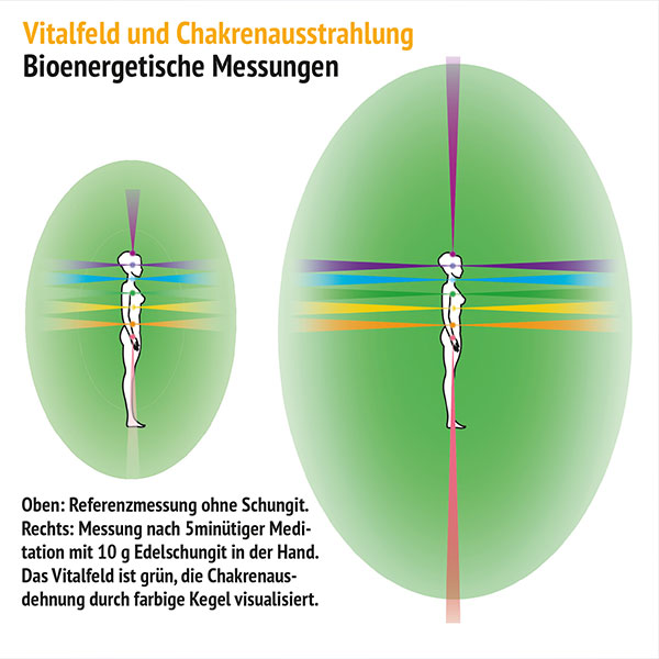 Illustration sieben Chakren und besondere Wirkung des Edelschungits auf das Wurzelchakra